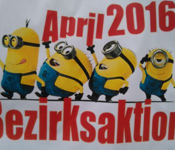 WiWö Bezirksaktion