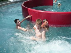 148   WiW   SOLA2015