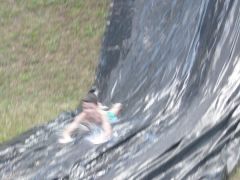 172   WiW   SOLA2015