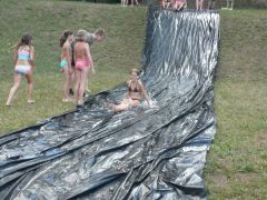 178   WiW   SOLA2015