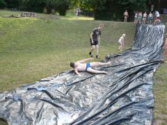 181   WiW   SOLA2015