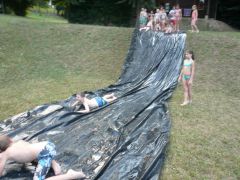 184   WiW   SOLA2015