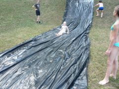 189   WiW   SOLA2015