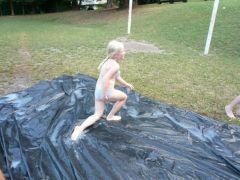 190   WiW   SOLA2015