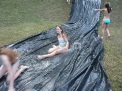 191   WiW   SOLA2015