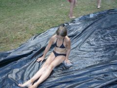 195   WiW   SOLA2015