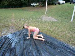 196   WiW   SOLA2015