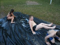 197   WiW   SOLA2015