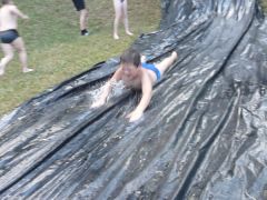 198   WiW   SOLA2015