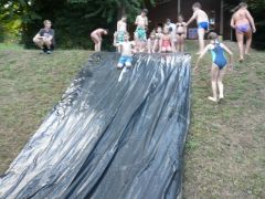 202   WiW   SOLA2015