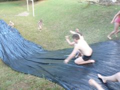 206   WiW   SOLA2015