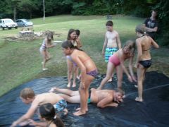 207   WiW   SOLA2015