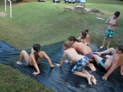 208   WiW   SOLA2015