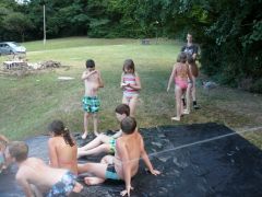 209   WiW   SOLA2015