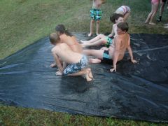 210   WiW   SOLA2015