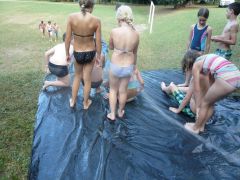 215   WiW   SOLA2015