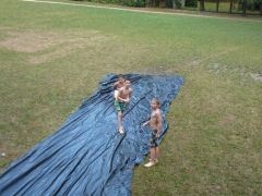 219   WiW   SOLA2015