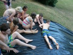 220   WiW   SOLA2015