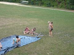 222   WiW   SOLA2015