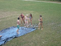 223   WiW   SOLA2015