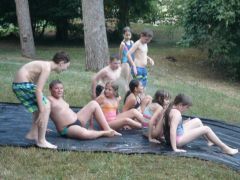 224   WiW   SOLA2015