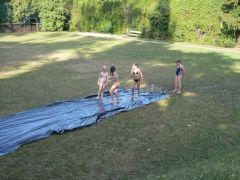 225   WiW   SOLA2015