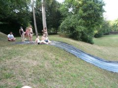 229   WiW   SOLA2015