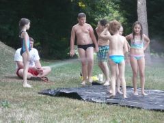 231   WiW   SOLA2015