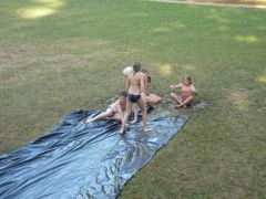 232   WiW   SOLA2015