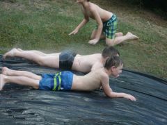 233   WiW   SOLA2015