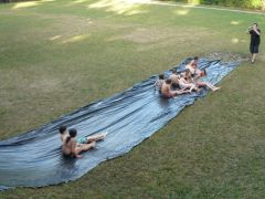 236   WiW   SOLA2015