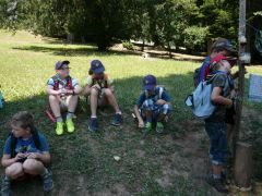 248   WiW   SOLA2015