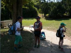 249   WiW   SOLA2015