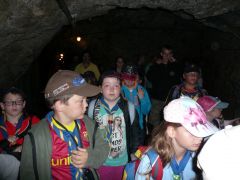 251   WiW   SOLA2015