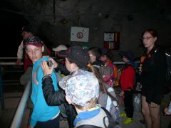 263   WiW   SOLA2015