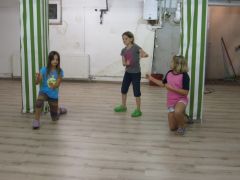 313   WiW   SOLA2015