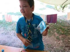 359   WiW   SOLA2015