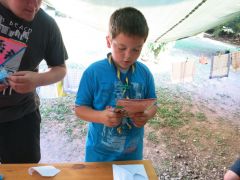 362   WiW   SOLA2015