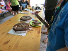 365   WiW   SOLA2015