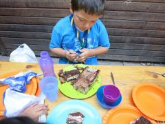 368   WiW   SOLA2015