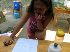 371   WiW   SOLA2015