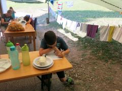 373   WiW   SOLA2015