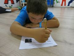 374   WiW   SOLA2015