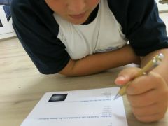 375   WiW   SOLA2015