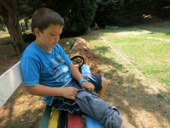 398   WiW   SOLA2015