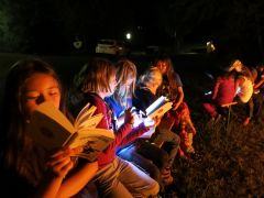 401   WiW   SOLA2015