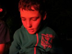 407   WiW   SOLA2015