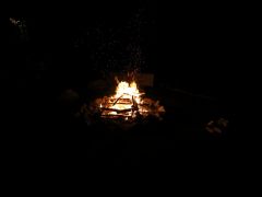 410   WiW   SOLA2015