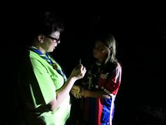 413   WiW   SOLA2015