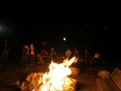 420   WiW   SOLA2015